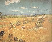 Vincent Van Gogh Wheat Stacks wtih Reaper (nn04) USA oil painting artist